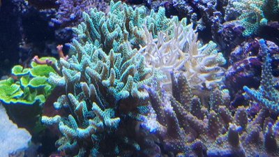 2017-12-26 20.59.46.jpg