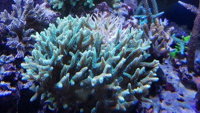 2017-12-26 20.59.37.jpg