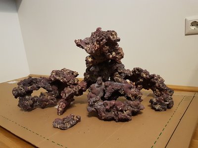 Vorderansicht von rechts