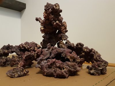 Vorderansicht Nahaufnahme