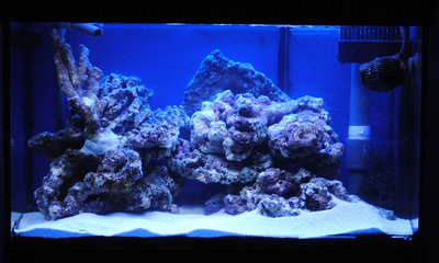 Wenige Stunden nach der Einrichtung