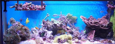 Gesamtansicht<br />3/2018