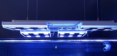 Beleuchtungsanordnung