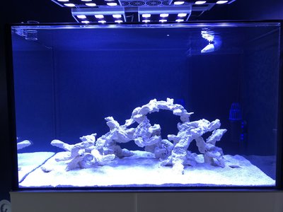 Riffaufbau mit Eporeef