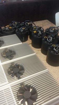 20151017_130528_resized.jpg (639.59 KiB) 8424 mal betrachtet Grössenvergleich zu vorher