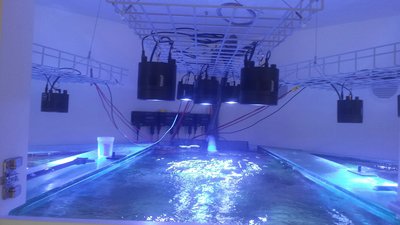 20151017_141021_resized.jpg (698.46 KiB) 8389 mal betrachtet Einfache Montage