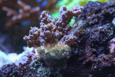 20200120-A72A5838 Kopie.jpg