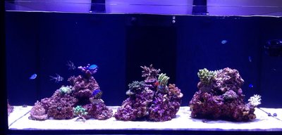 IMG-20151108-WA0005 (2).jpg