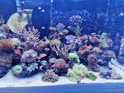 WhatsApp Image 2020-08-27 at 17.33.36 (2).jpeg