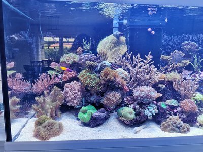 WhatsApp Image 2020-08-27 at 17.33.36 (3).jpeg