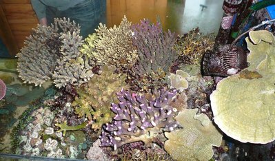 riff im trockenen.JPG