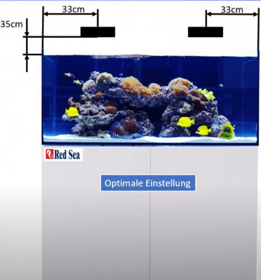 Screenshot 2021-12-01 102824.jpg