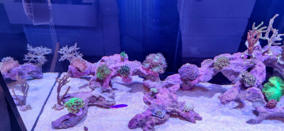 WhatsApp Image 2022-11-17 at 13.19.40.jpeg