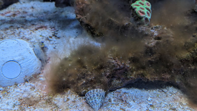 PXL_20230322_120458977 (1).jpg