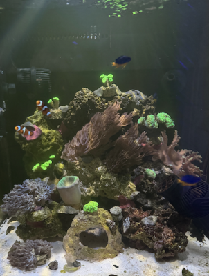 Bildschirmfoto 2025-02-01 um 14.51.00.png