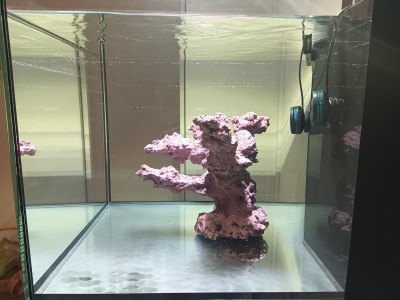 Seitenansicht rechts.jpg