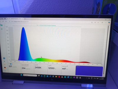 direkt u Wasseroberfläche Beginner Einstellungen.jpg