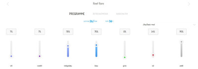 Licht Mittag final.jpg