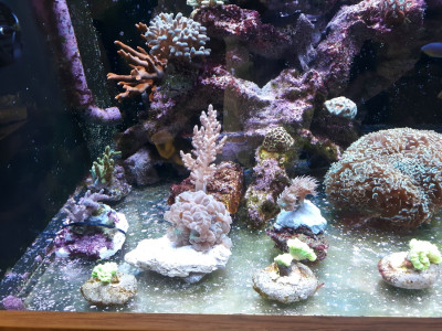 Die Neuzugänge von gestern: