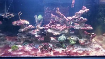 2015-12-03 18.52.32.jpg