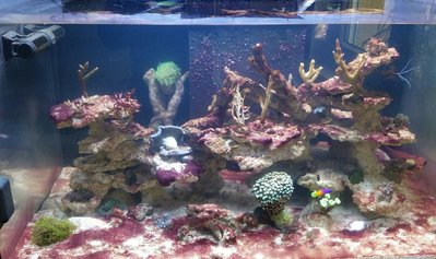 2015-12-03 18.53.11~2.jpg