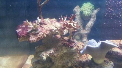 2015-12-03 18.57.53.jpg