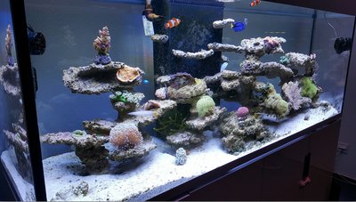 Bildschirmfoto 2015-12-21 um 21.08.36.jpg