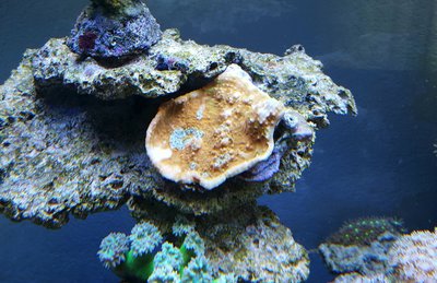 Bildschirmfoto 2015-12-21 um 21.24.12.jpg