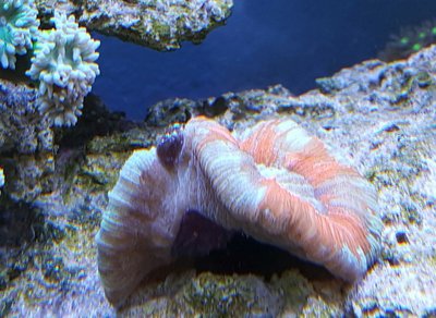 Bildschirmfoto 2015-12-21 um 21.25.09.jpg