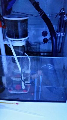 2016-02-11 18.15.47.jpg