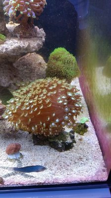 2016-02-11 18.27.36.jpg