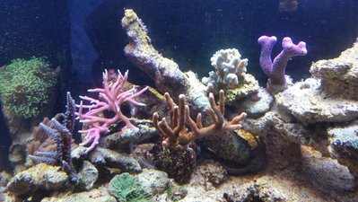 2016-02-11 18.28.05.jpg