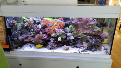 2015-08-07 18.36.38.jpg