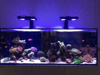 aktuelle Gesamtansicht