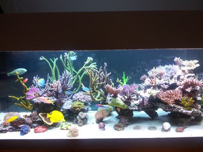 210414.jpg (445.1 KiB) 13869 mal betrachtet April 2014