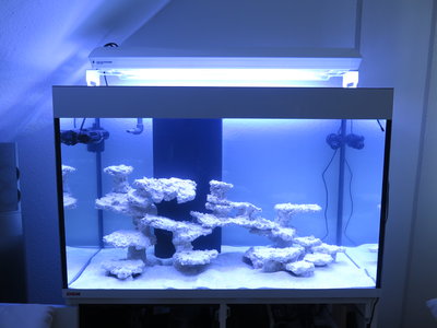 2016.05.08 aufsalzen Beckenstart 1.JPG