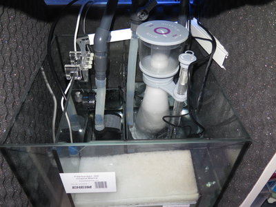 2016.05.08 Technikbecken 2.JPG