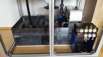 Filterbecken noch ohne Wasser