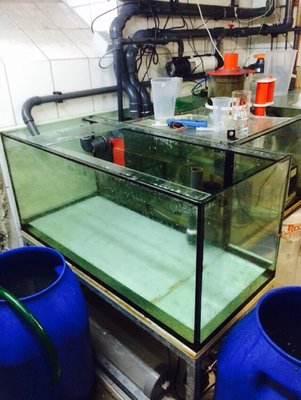 Ablegerbecken im Kreislauf