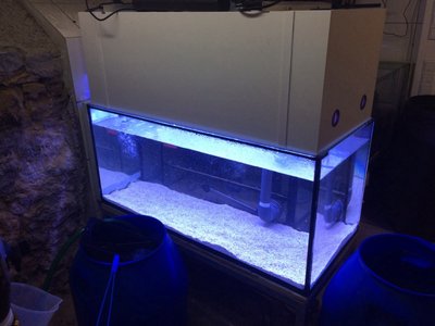 Sand auch schon drin