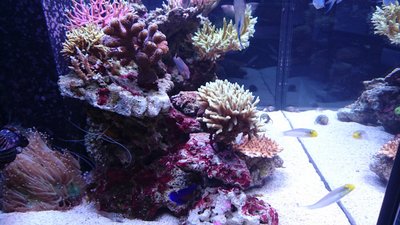 DSC_0508.jpg
