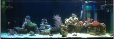 Aquarium_800l.JPG