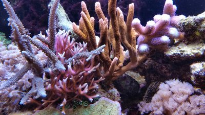 2016-09-24 17.36.57.jpg