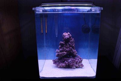 Hier ein Foto, damit ihr eine Vorstellung von meinem Nano bekommt.