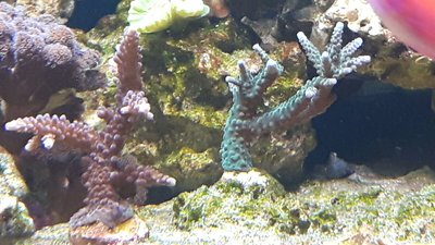 IMG-20161028-WA0010.jpg