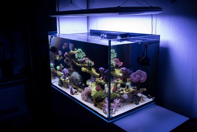 Woche 3_13.11.16.jpg