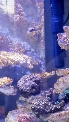 20150913_144332 (2).jpg