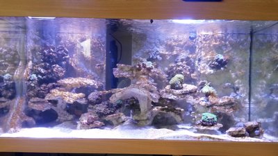 Ansicht von vorne.jpg