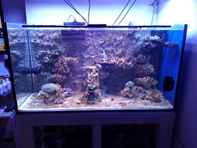 IMG_20170202_212830 (Large).jpg