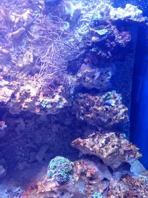 IMG_20170202_212857 (Large).jpg